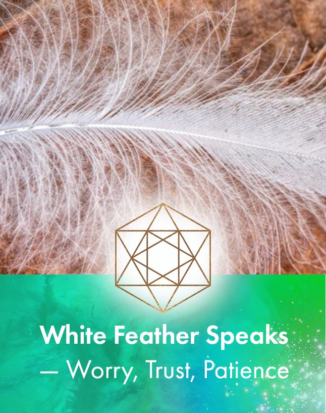 White Feather speaks about worry, trust and patience